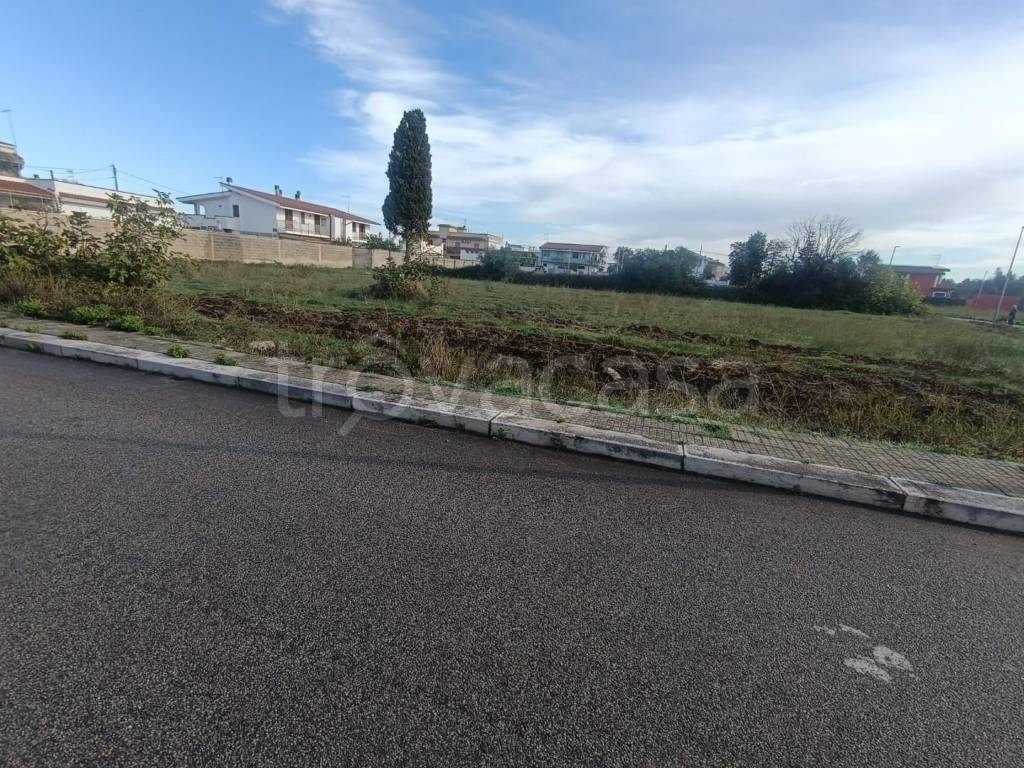 immagine annuncio 2 di 12