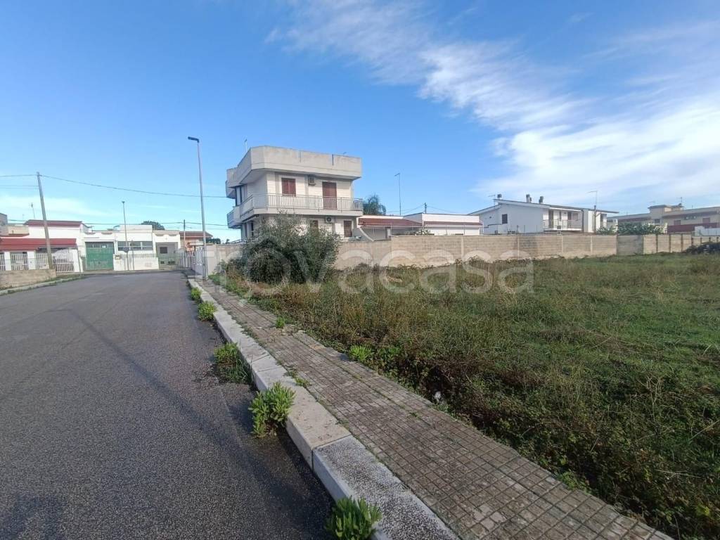 immagine annuncio 3 di 12