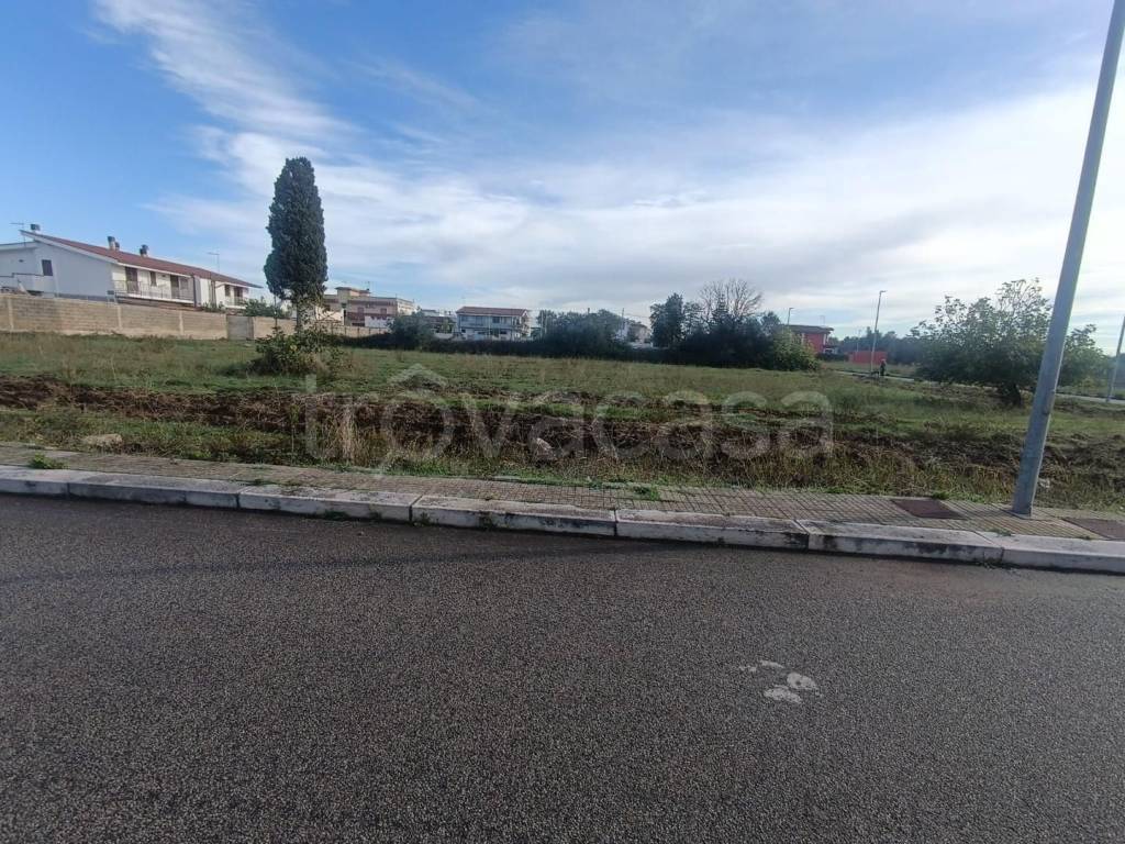 immagine annuncio 4 di 12