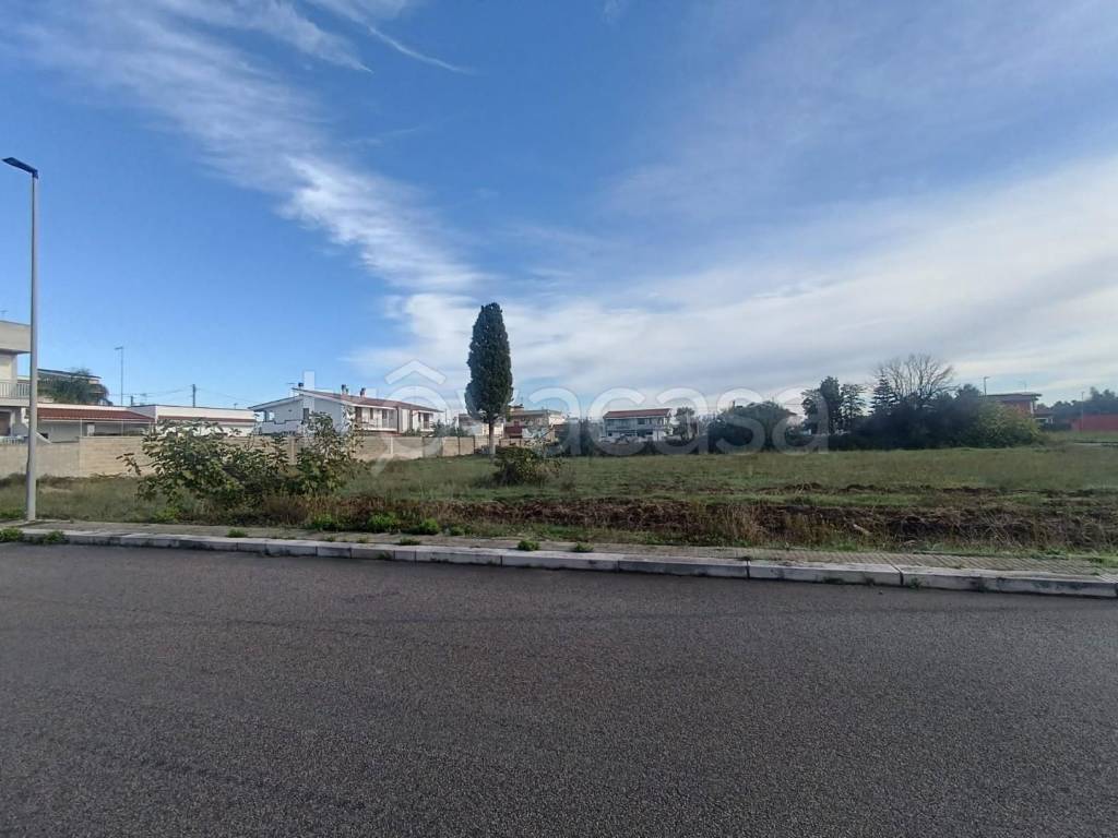 immagine annuncio 6 di 12