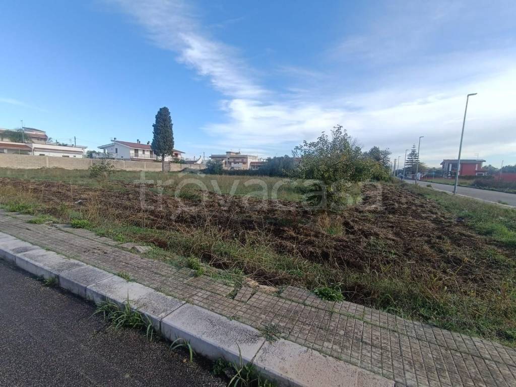 immagine annuncio 7 di 12