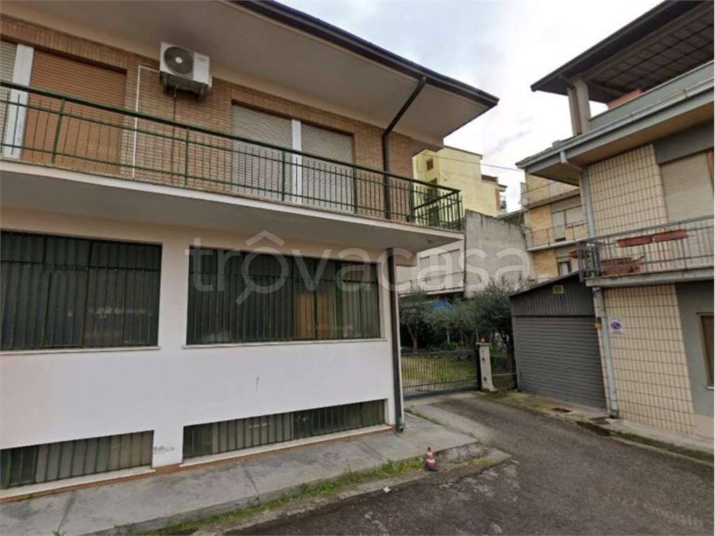 immagine annuncio 3 di 14