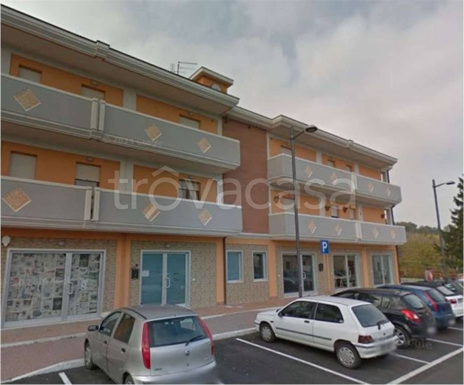 immagine annuncio 9 di 11