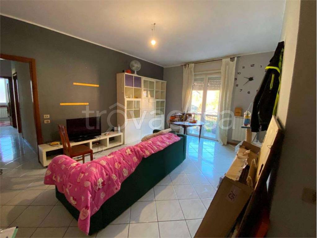 immagine annuncio 2 di 12