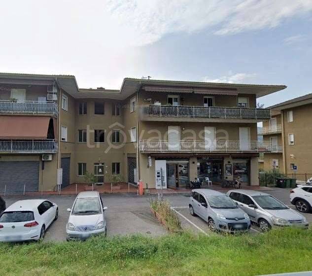 immagine annuncio 11 di 12