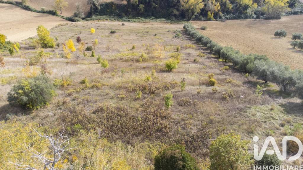 immagine annuncio 5 di 12