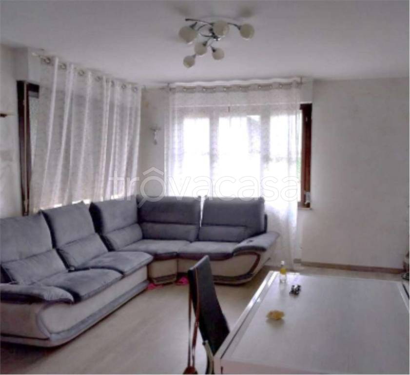 immagine annuncio 4 di 14