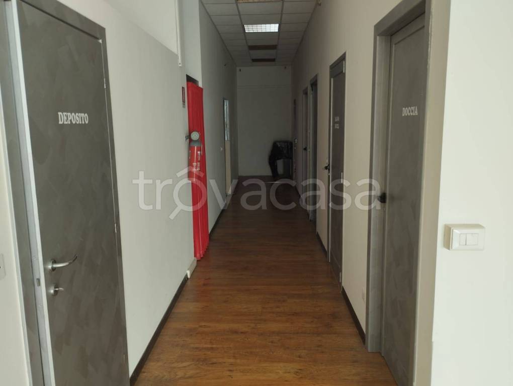 immagine annuncio 5 di 14