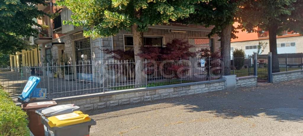 immagine annuncio 12 di 14