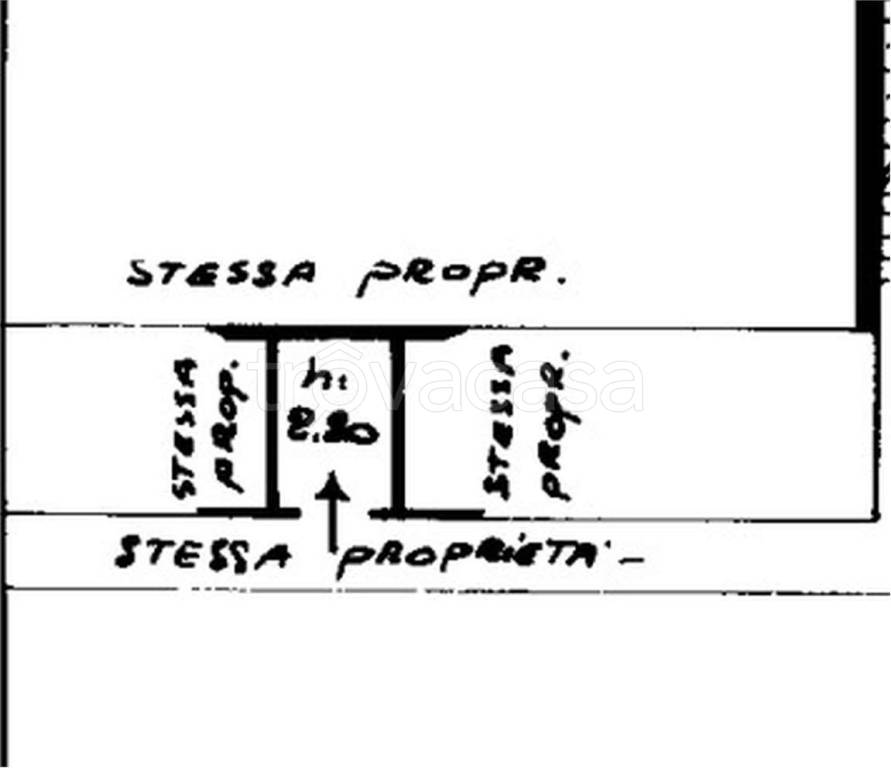 immagine annuncio 9 di 14