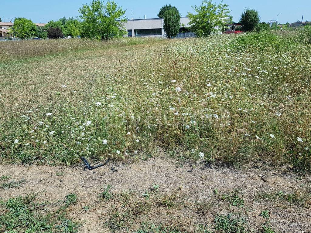 immagine annuncio 3 di 11