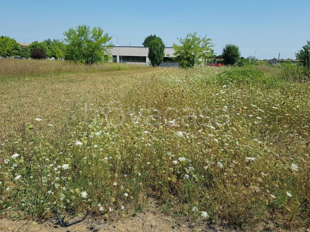 immagine annuncio 4 di 11