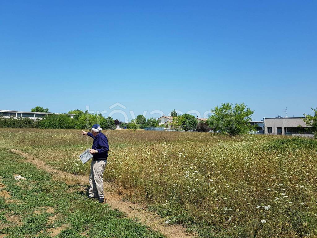 immagine annuncio 5 di 11