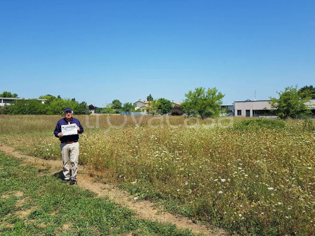 immagine annuncio 7 di 11