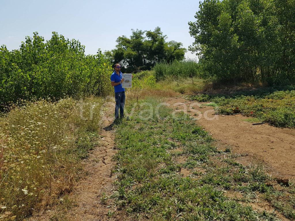 immagine annuncio 8 di 11