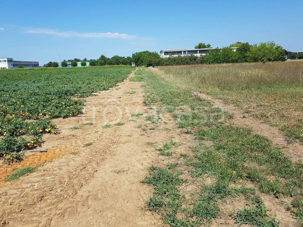 immagine annuncio 9 di 11