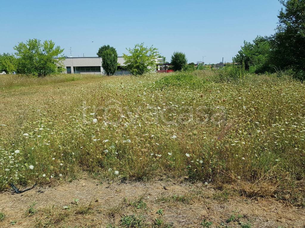 immagine annuncio 10 di 11