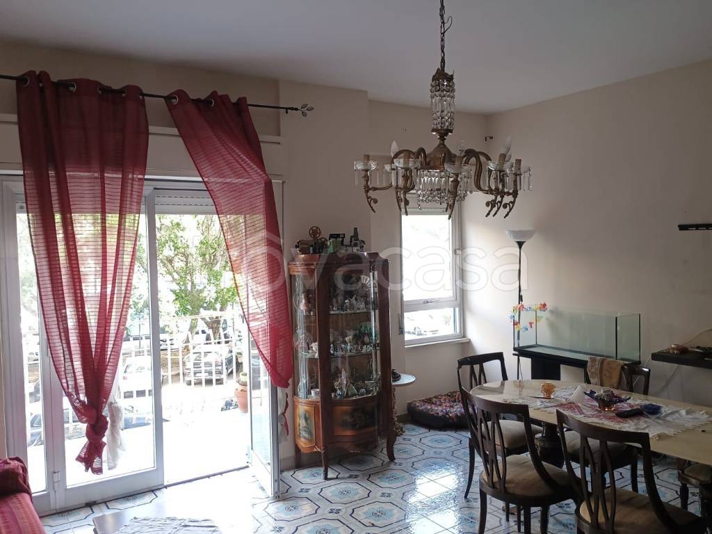 immagine annuncio 11 di 14