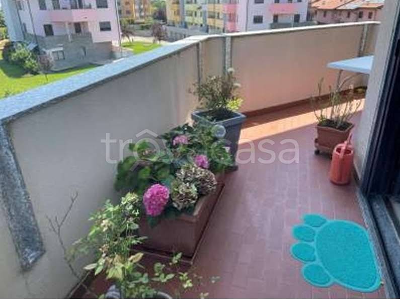 immagine annuncio 9 di 15