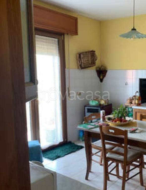 immagine annuncio 2 di 12