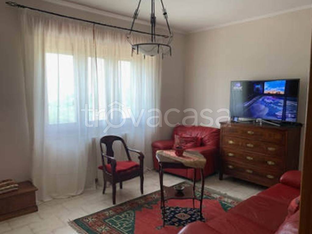 immagine annuncio 11 di 12