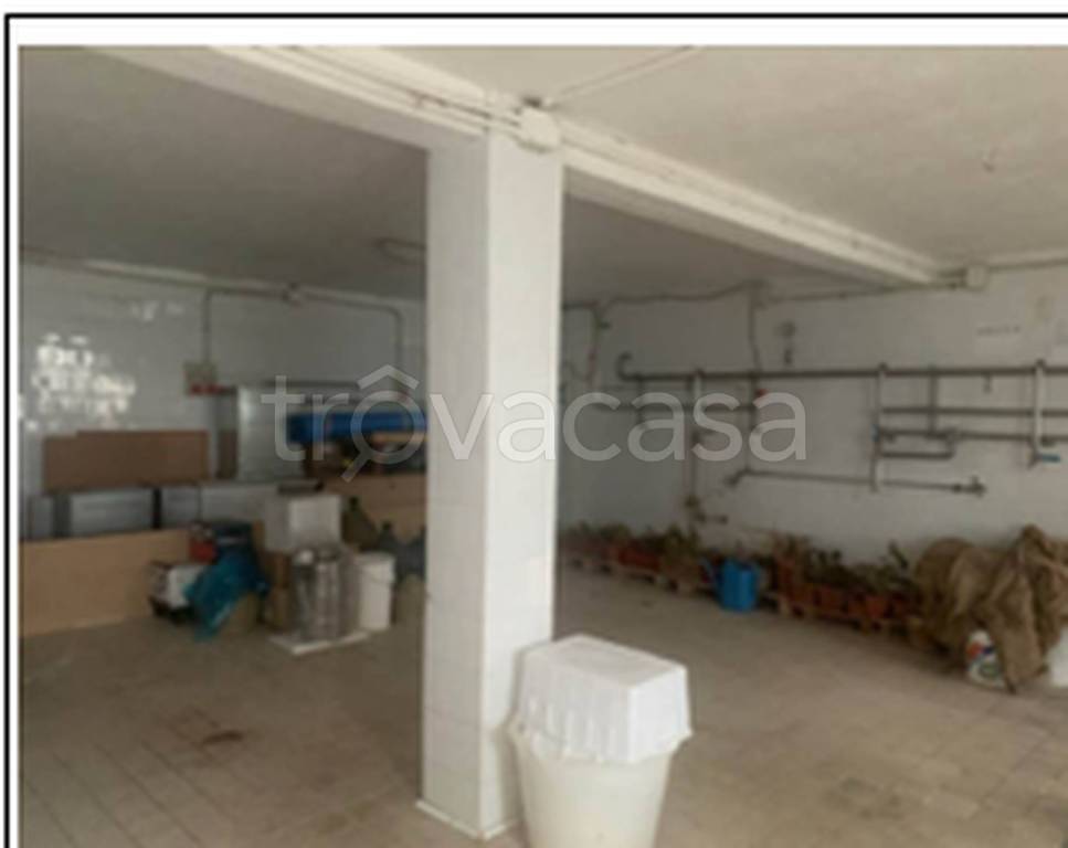 immagine annuncio 5 di 9