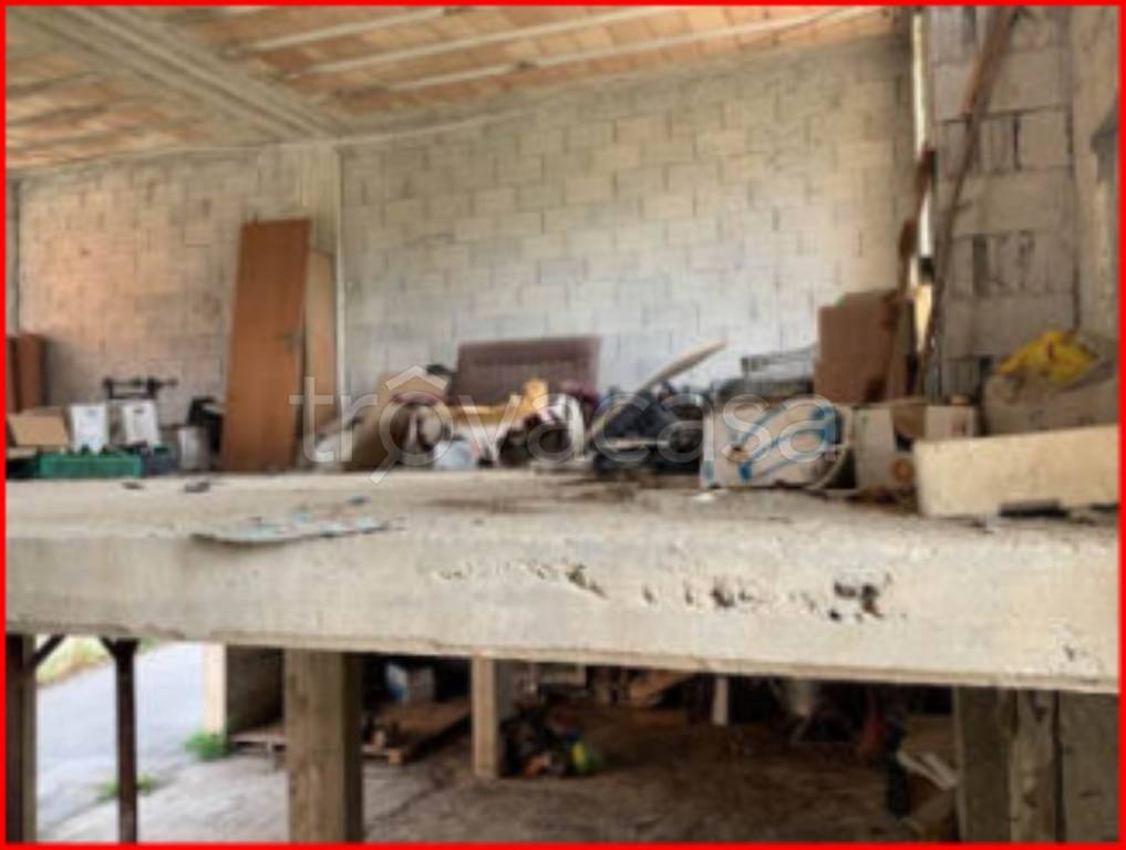 immagine annuncio 6 di 12