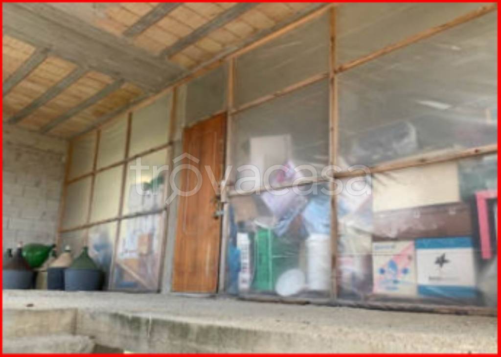 immagine annuncio 8 di 12