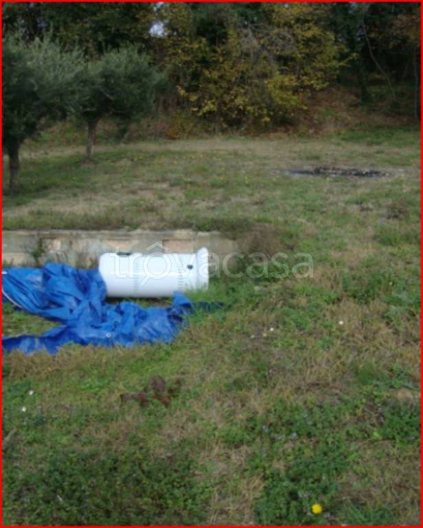 immagine annuncio 12 di 14