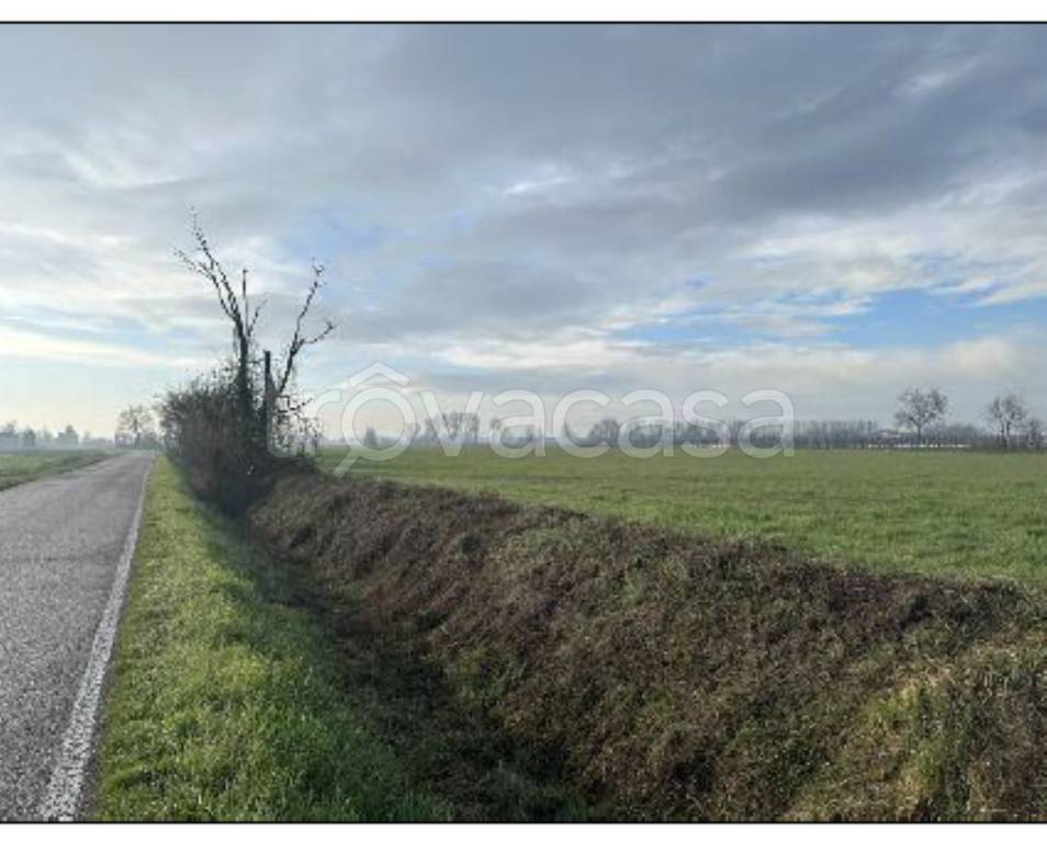 immagine annuncio 6 di 14