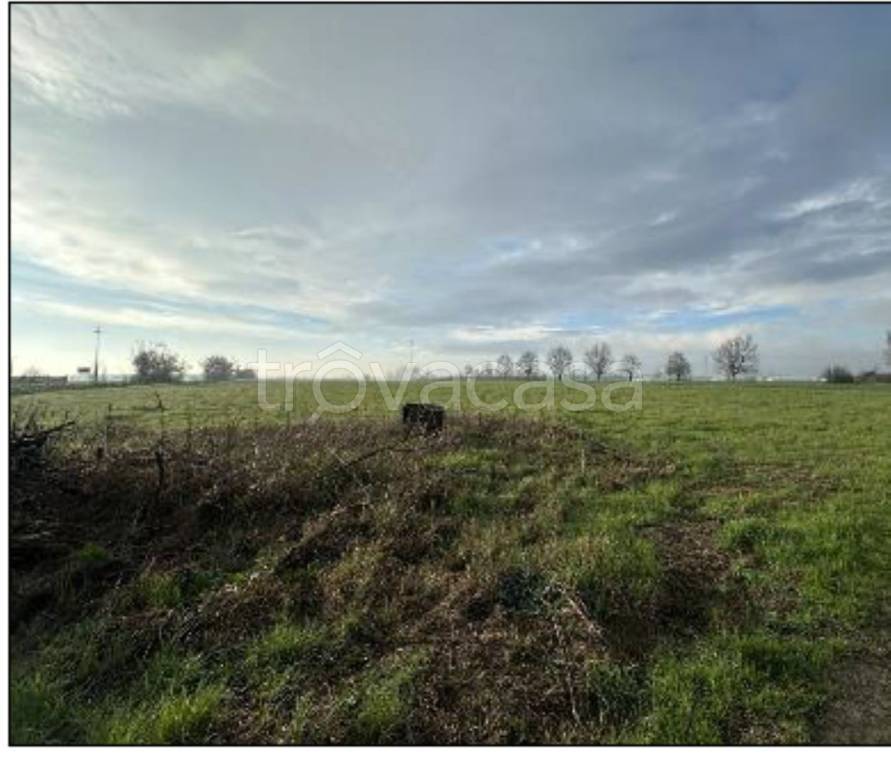 immagine annuncio 11 di 14