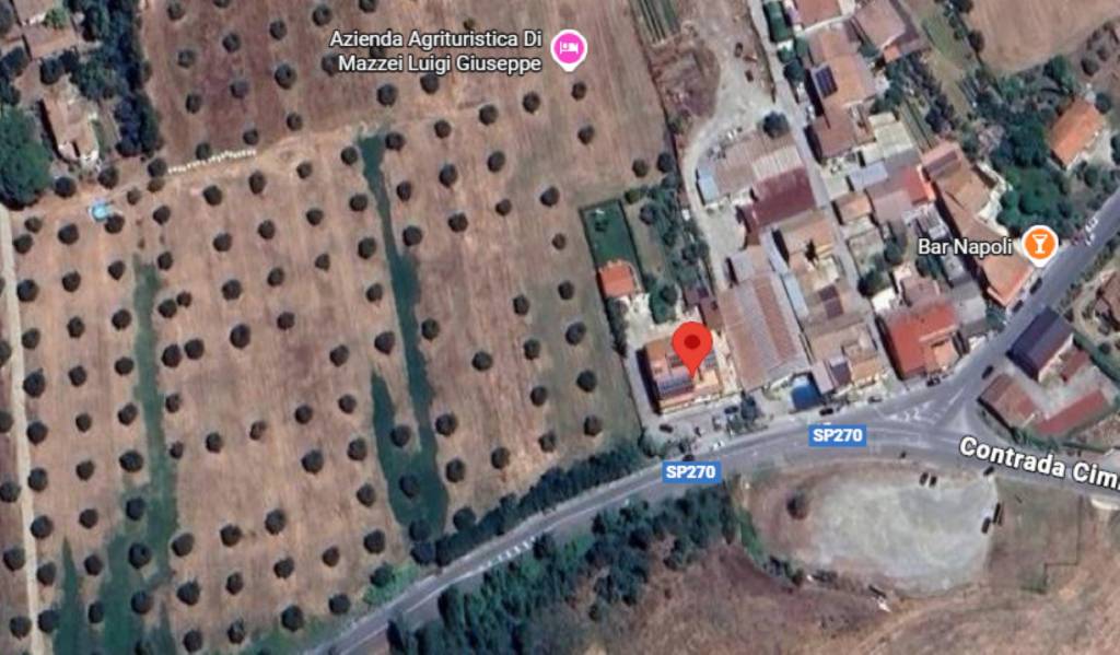 immagine annuncio 12 di 13