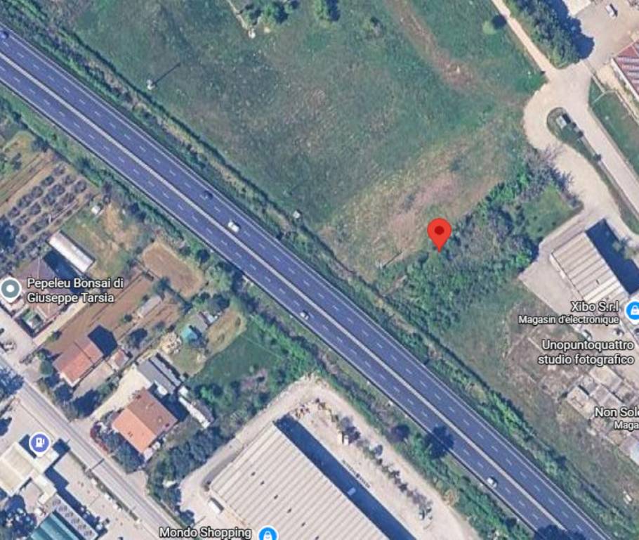 immagine annuncio 5 di 12