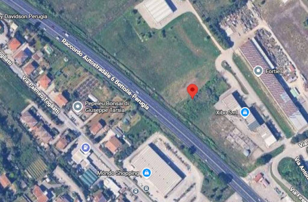 immagine annuncio 6 di 12