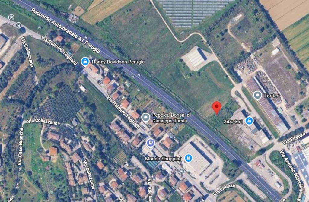 immagine annuncio 11 di 12