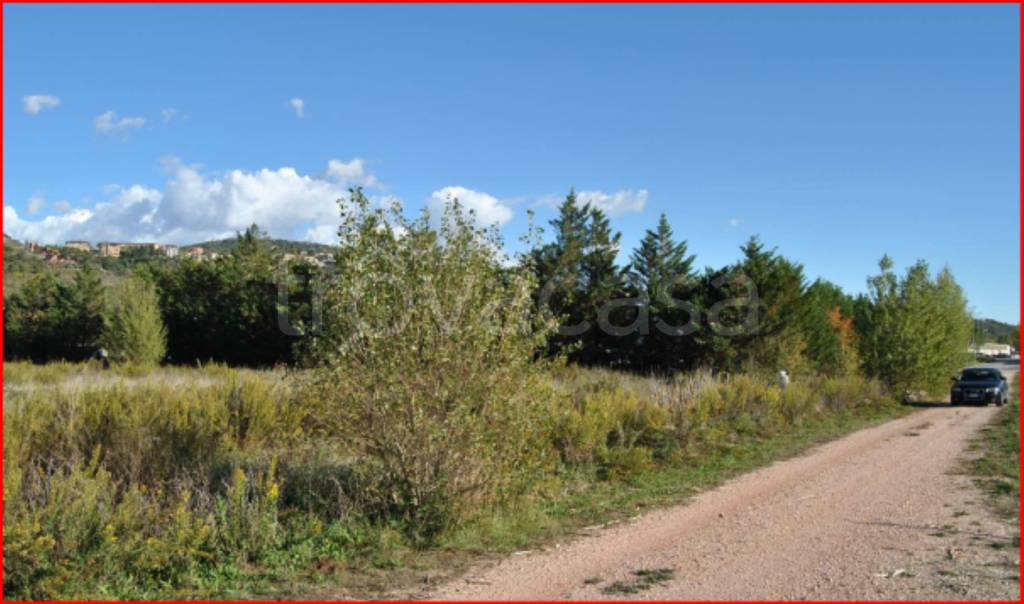 immagine annuncio 4 di 12