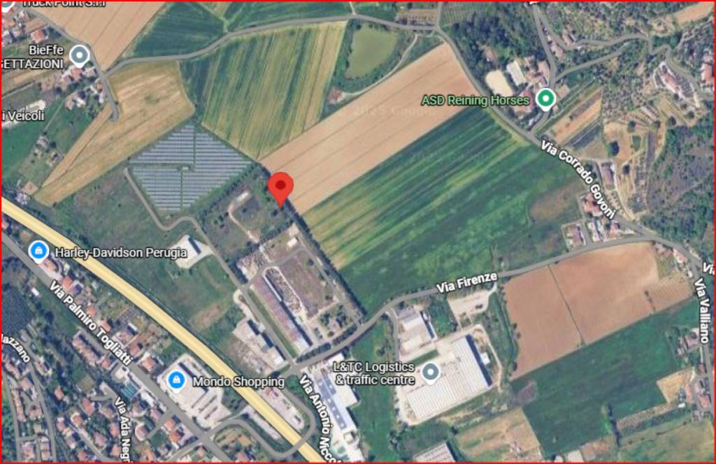 immagine annuncio 11 di 12