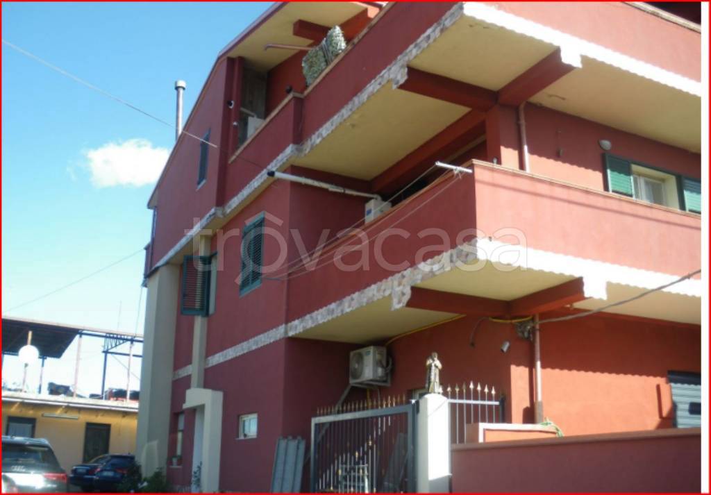 immagine annuncio 3 di 14