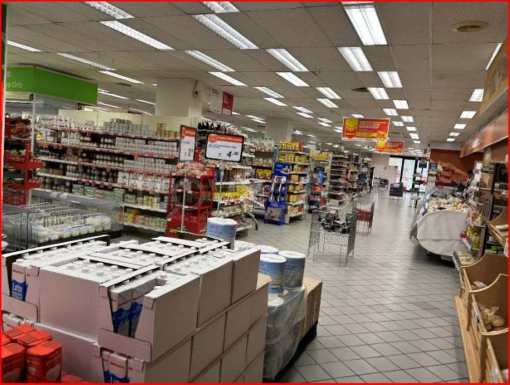 immagine annuncio 3 di 12