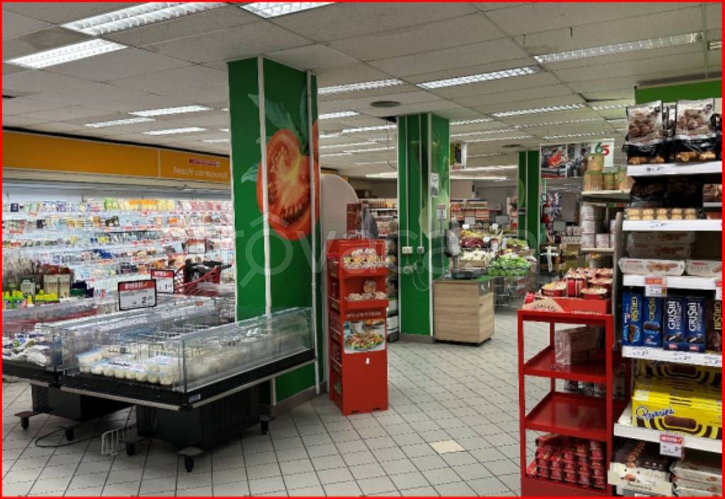 immagine annuncio 4 di 12