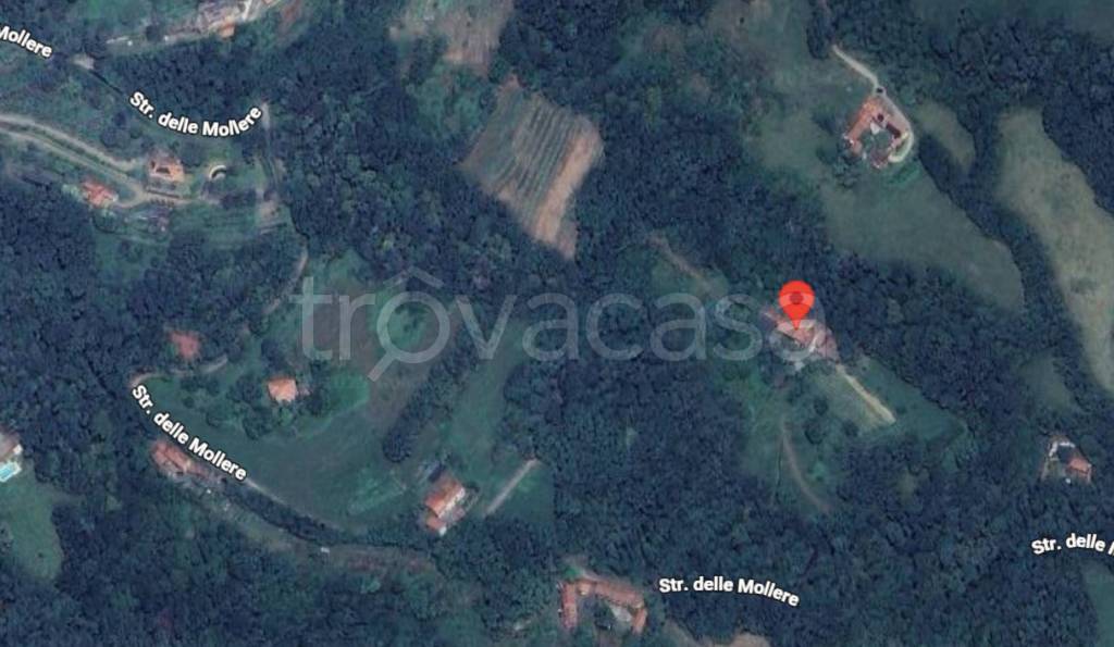 immagine annuncio 5 di 11