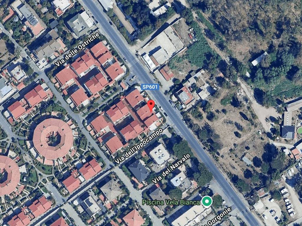 immagine annuncio 2 di 12