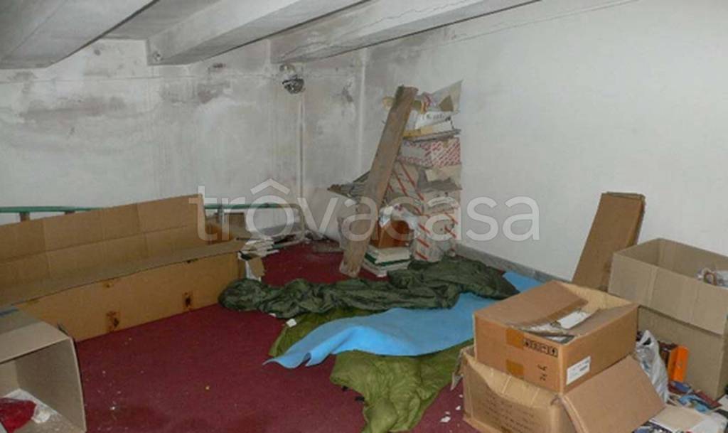 immagine annuncio 7 di 12