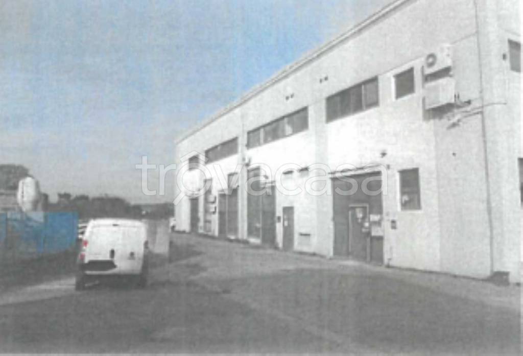 immagine annuncio 5 di 10