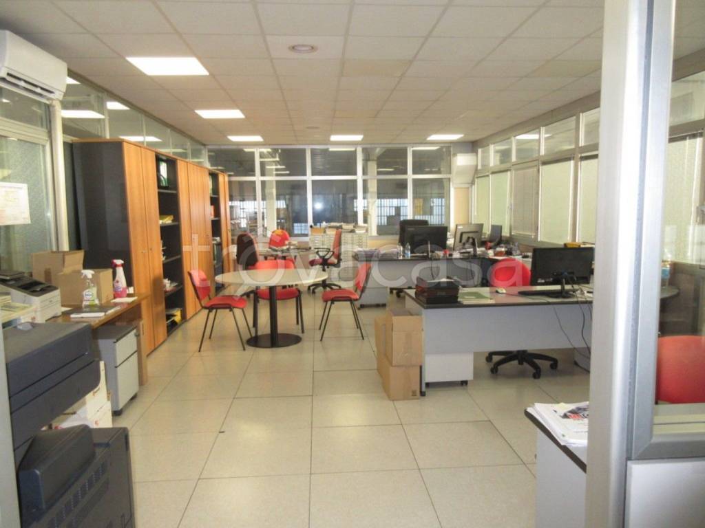 immagine annuncio 4 di 12