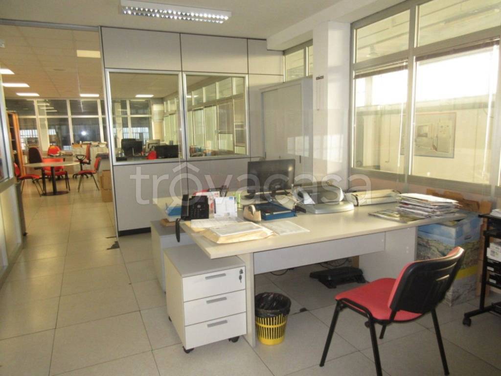 immagine annuncio 5 di 12