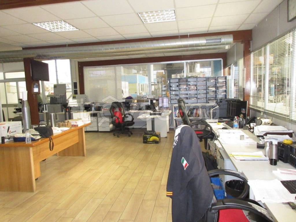 immagine annuncio 9 di 12