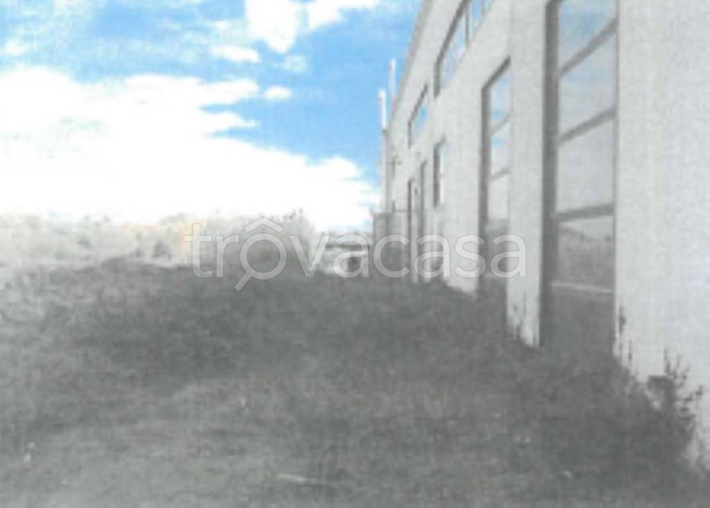 immagine annuncio 3 di 9