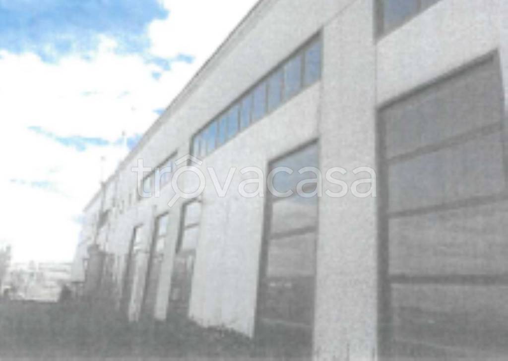 immagine annuncio 5 di 9