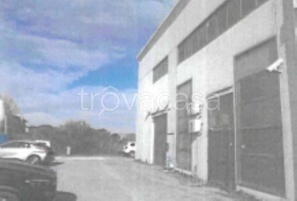 immagine annuncio 7 di 9